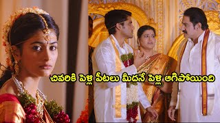 Oka Laila Kosam Climax Love Scene | Naga Chaitanya, Pooja Hegde | Volga Movie