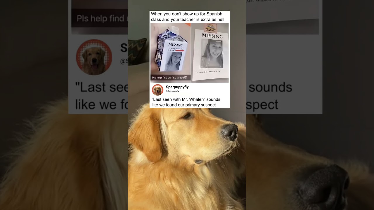 мы нашли нашего главного подозреваемого