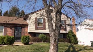 Split-Level Fixer Upper For Only $315,000