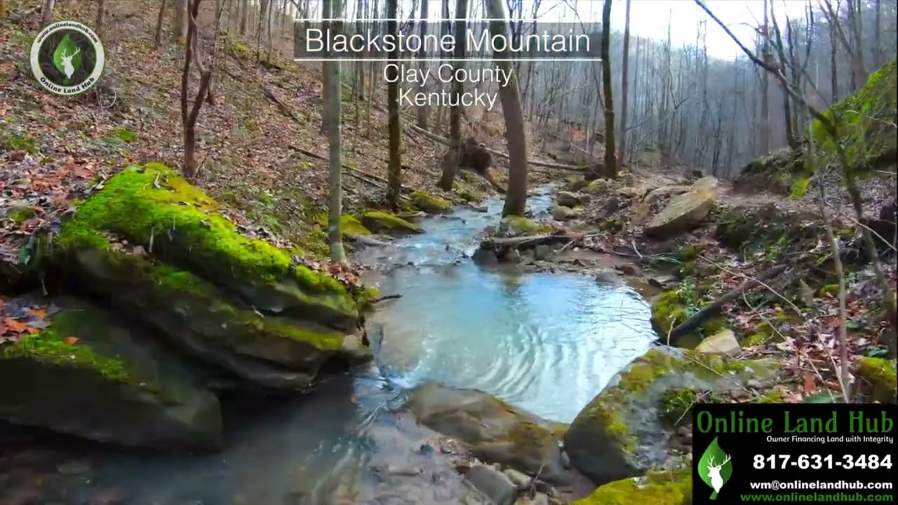 Blackstone Mountain - Rural Kentucky Land For Sale