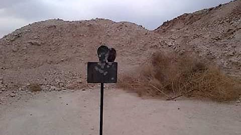 Metal Hostage Target