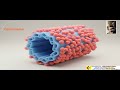 Centrosome Structure - Biology by Harcharan Sir live