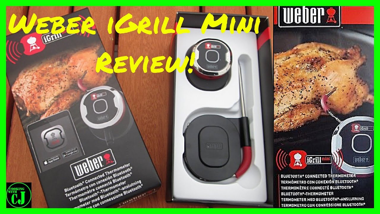 New Weber iGrill Temperature Probe - The DIY Life