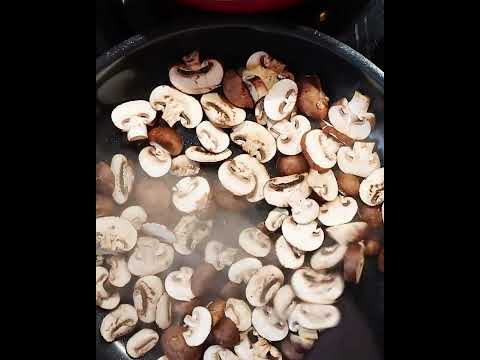 Champignons in der