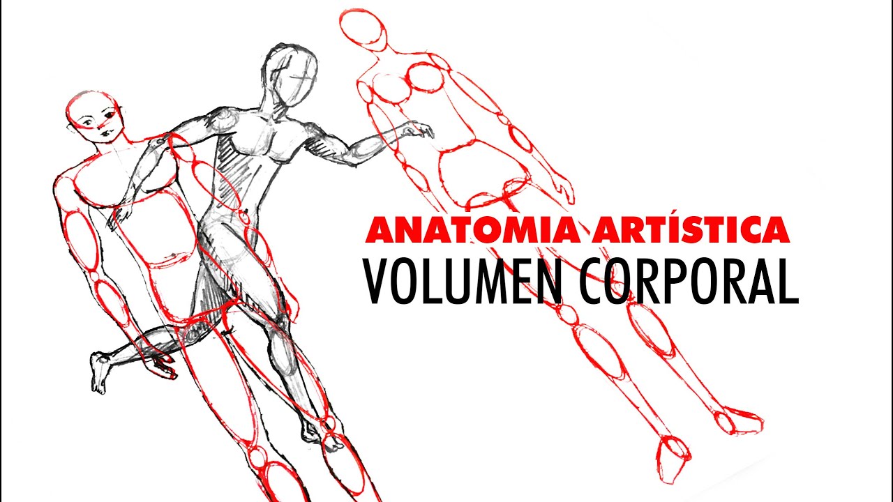 Anatomía Artística, Volumen corporal para principiantes 