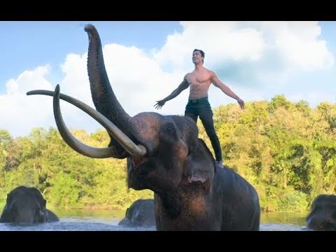junglee-box-office-collection-day-2:-vidyut-jammwal’s-action-flick-makes-rs.-7.7-crore-in-2-days