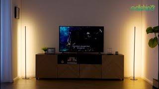 Elevate Your Space with the EDISHINE Minimalist LED Corner Floor Lamp - Set of 2 - HFLCB2B