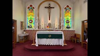 June 13, 2026. Eleventh Sunday in Ordinary Time