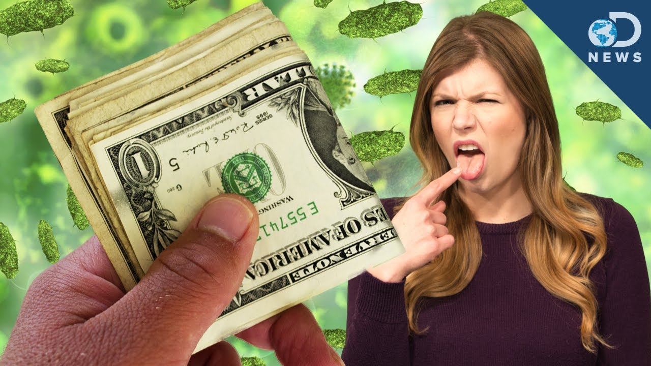 How Dirty Is Our Money? YouTube