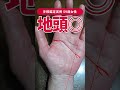 【手相実例】地頭がいい人にだけ出る手相 #shorts #手相