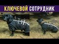 Приколы. Ключевой сотрудник | Мемозг #206