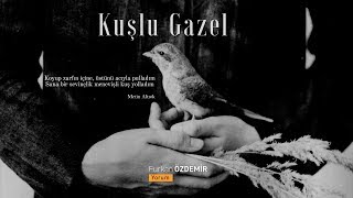 Metin Altıok | Kuşlu Gazel Resimi