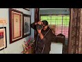 Crown shoot of Miss India Nayantara with Jagdeep || preeti , Suchana and Priyadarshini || MINT2020