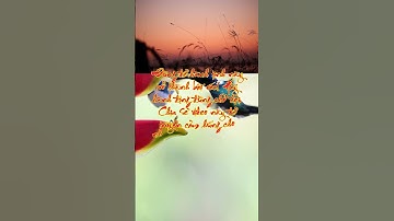 Biển Ngập Rác Nhựa - Thời Gian Để Hành Động Đã Đến!