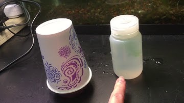 GPP NPP & Productivity Lab