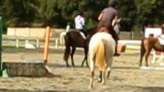 Polo 316 -Superman Oxer