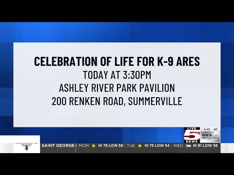 Video VIDEO: Dorchester County to honor K-9 Ares at celebration of life