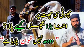 Pehli bar Pala aur Sab ko Hairan kar diya! 😍 13 Man ka Bachra itni si Jagah per Kese Pala?