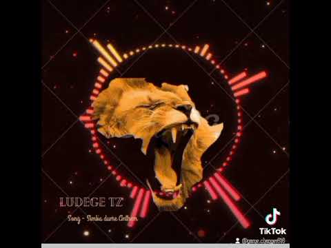 Ludege Tz Simba Dume Anthem