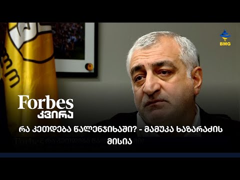 რა კეთდება წალენჯიხაში? - მამუკა ხაზარაძის მისია