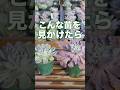 【葉が伸びた苗】こんな感じで大丈夫