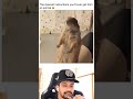 Clearest instructions #viral #funny #nobatidao