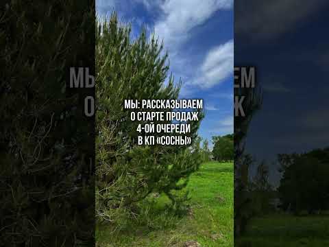 Земельные участки в Калининградской области! #недвижимостькалининград