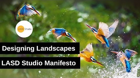 Designing Landscapes That Heal, Endure & Evolve | LASD Studio Manifesto