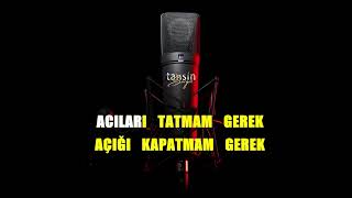 Berkay Altunyay - Ayrılmam / Karaoke / Md Altyapı / Cover / Lyrics / HQ Resimi