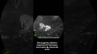 Test monocolo termico RIX Pocket K3. #caccia #wildlife #outdoors #nightvision #wildboar #thermal