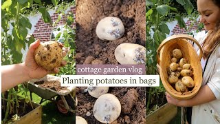 Grow Potatoes In Bags Small Space Growing Spring Cottage Garden Vlog