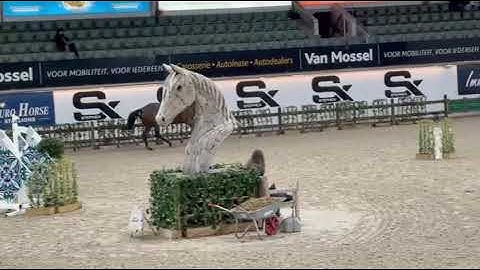 251126d Coshyra 2020