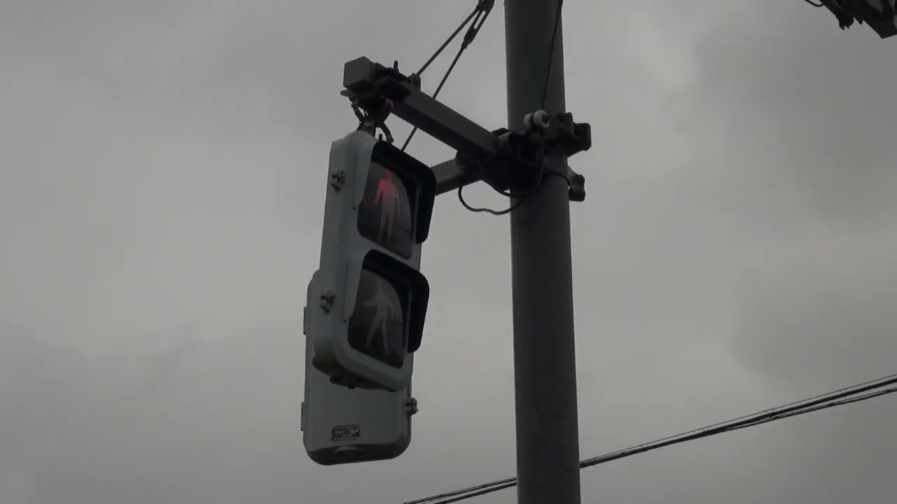 強風で揺れる歩行者用信号機!?