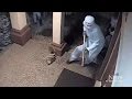 Terrifying armed home invasion attempt caught on camera