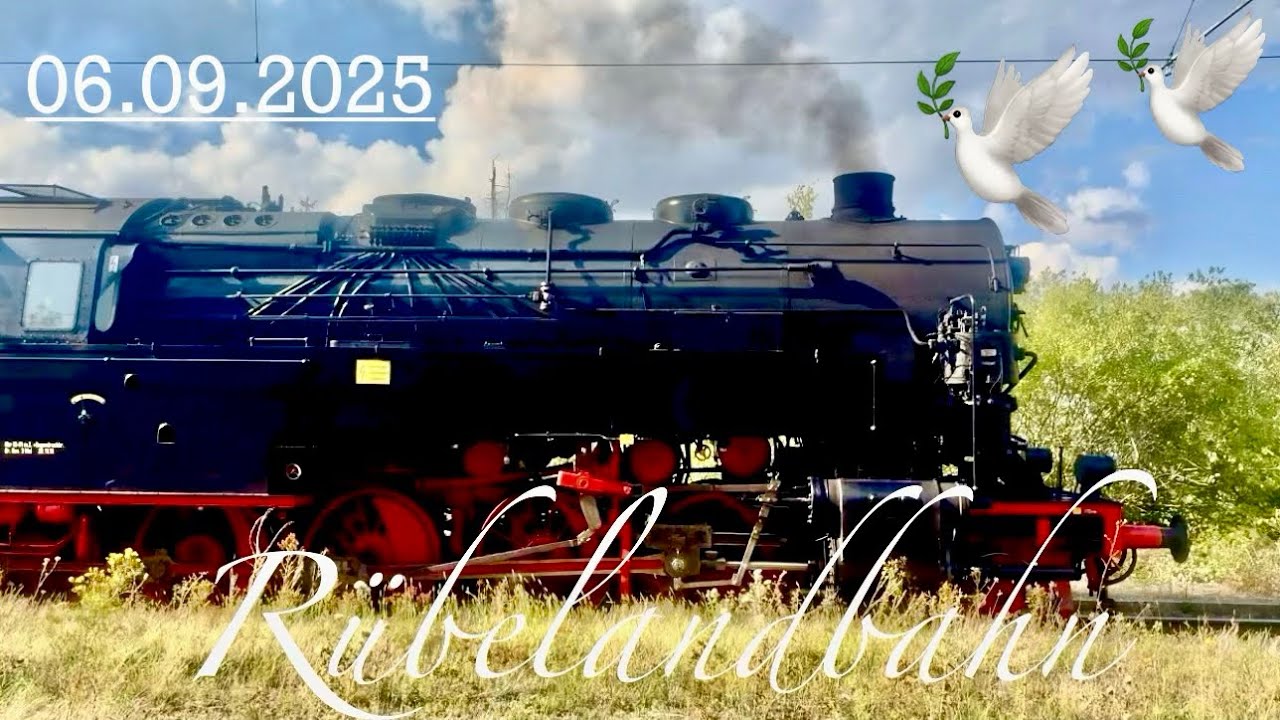 Harz 💞 Rübelandbahn Fahrt 