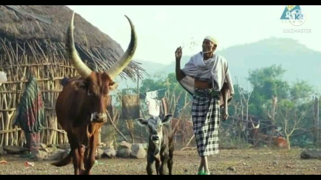 የገጠር ዘፈን