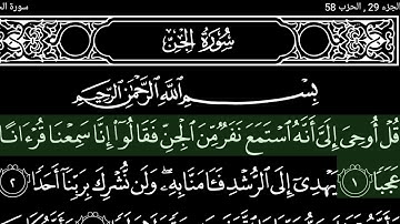 سورة الجن الشيخ هاني الرفاعي