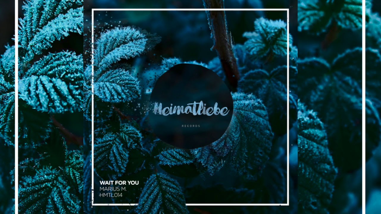 HMTL014: Marius M. - Conversion [SNIPPET]