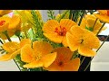 วิธีถักดอก California Golden Poppies