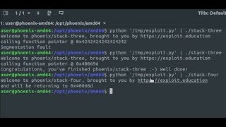 Stack three & four de Exploit Education - Segmentation Fault