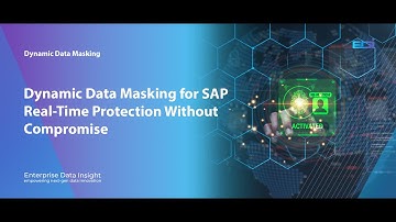Dynamic Data Masking for SAP by Enterprise Data Insight