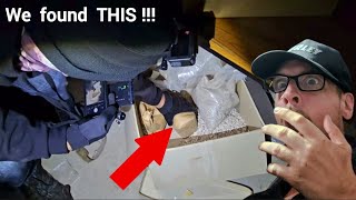 STRANGE FIND - This Was Unexpected!