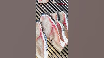 Snakehead fish slicing machine