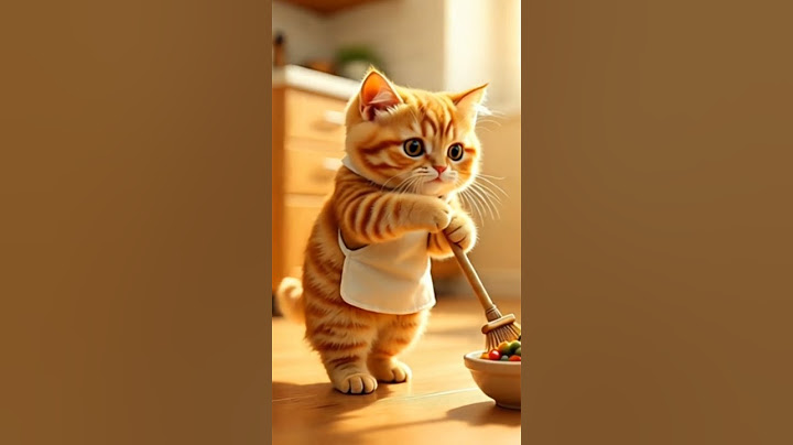 The Hardworking Kitten: Small Paws, Big Dreams! #hardwork #cats #love #viral