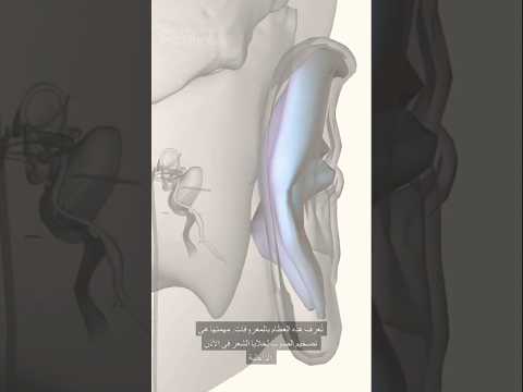 كيف نتمكن من سماع لأصوات وتميز بينها تعرف على ذالك بمشاهدة المقطع  اكسبلور معلومات