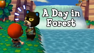 Animal Crossing: City Folk - A Day in Forest (30 minutes of gameplay)