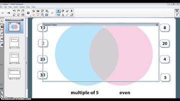 SMART Notebook 11 Pin Page