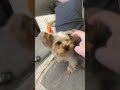 you will pay the price