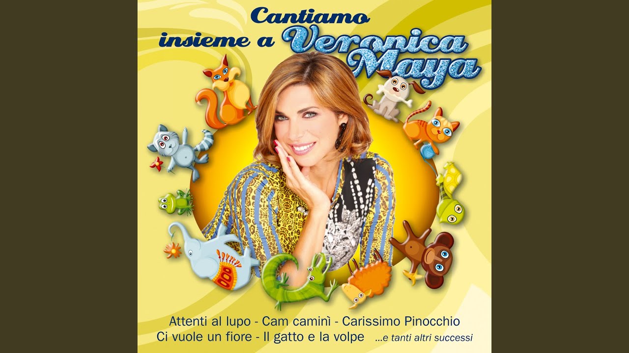 Cam cam caminì spazzacamin