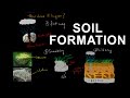 The Journey of Soil Formation and Rock Weathering